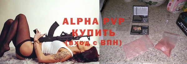 индика Белокуриха