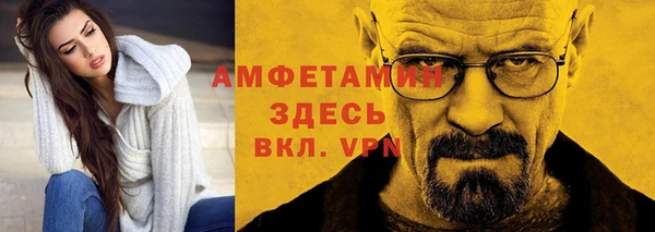индика Белокуриха