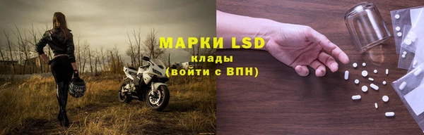 индика Белокуриха