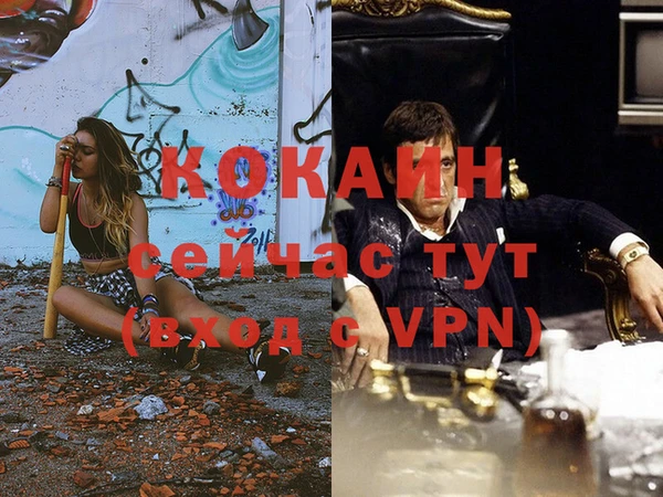 индика Белокуриха