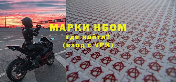индика Белокуриха