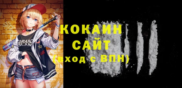 индика Белокуриха