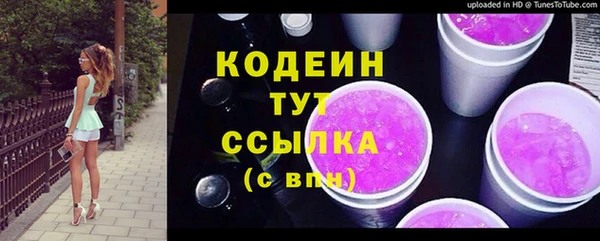 индика Белокуриха